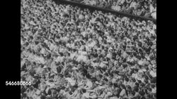 Tennis championship matches at Wimbledon and US National Championships News Clip