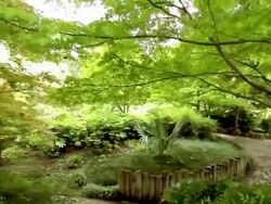 walking on the nature park Stock Footage