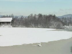 HD: Winter landscape Stock Footage