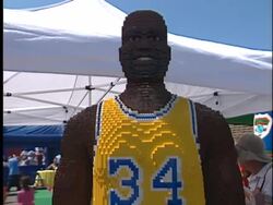 Shaqtacular VII Stock Footage