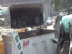 CLEAN: Outrage as video shows Egypt's pig killing News Clip