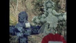 News Item (fb59394c-c4d5-1217-5b80-d93112e899e2) Instructional Video