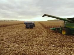 Combine starts down a row of corn. Stock Footage
