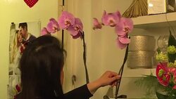 CLEAN : British businessman sees flowery Brexit future News Clip