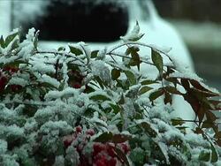 Snow Day 2 Stock Footage