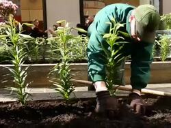 New York's Rockefeller Center Prepares For Easter Holiday Stock Footage