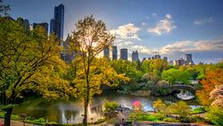 Time lapse HDR of Central Park at fall Autumn Stock Footage