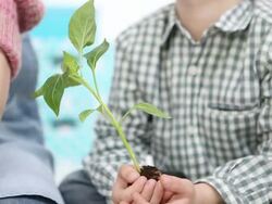 HD: Kindergarden Children Learning About Recycling Stock Footage