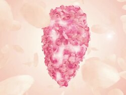 Valentines Heart  (Loopable) Stock Footage