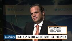 Parsley CEO Sees 'Very Small' Effect From Harvey News Clip