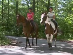 WS TS View of equestriennes riding at village Ayl, Saarburg country / Ayl, Saar-Valley, Rhineland-Palatinate, Germany  Stock Footage
