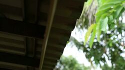 Rain water fall on roof Stock Footage