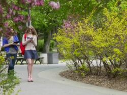 Students walk and talk on university campus Stock Footage