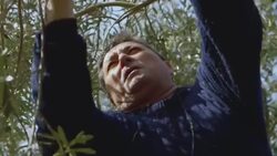 The success of Istrian Olive Oil Instructional Video