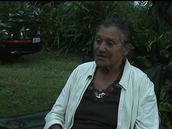 Ancient Aboriginal remedies tested for modern medicine News Clip