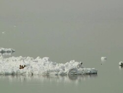 White block of foam on the water Stock Footage