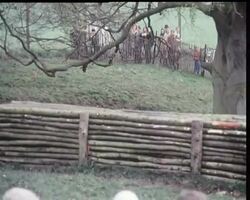 BADMINTON HORSE TRIALS News Clip