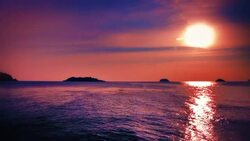 Romantic sunset Stock Footage