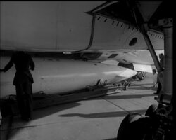 TREE-TOP DETERRENT News Clip