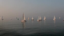 Sailboats on Sea Stock Footage