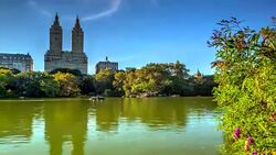 Lake in Central Park New York City in the summer Stock Footage