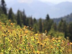 HD: Plateau Stock Footage