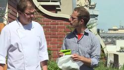 VOICED : Paris chefs hit the roof for gastro gardens News Clip