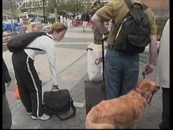 Worries about health impact of toxins at site of terror attacks News Clip