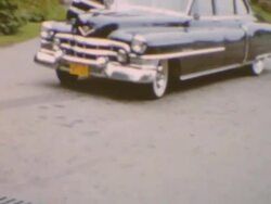 Japanese Tea Garden Stock Footage