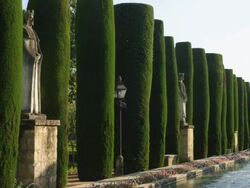 WS statues and cypress hedges in the gardens of the Alcazar Palace Stock Footage