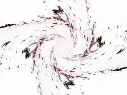 WAVE : quad (LOOP) Stock Footage