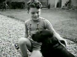 Dutch orphan childs whose names are unknown are shown to the viewers hoping that they can help identify the children Stock Footage