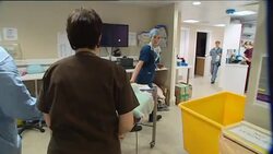 Bionic dogs at hi-tech vets News Clip