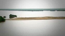 Yellow river wetland in China Stock Footage