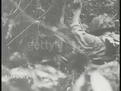 1941: JAPANESE FORCES IN PHILIPPINES: VS Japanese soldiers moving through jungle growth. (light contrast) Soldier using sight. LA Machine gun firing. VS Artillery cannons firing from camouflaged positions. Invasion, Occupation, WWII. Instructional Video