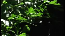 Halted construction sites re-used to generate business News Clip