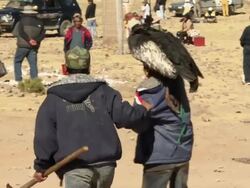 Traditional headdress at spring festival, Cala Cala, Bolivia Stock Footage