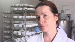 Greek exporters try to tap new markets amid crisis News Clip