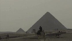 Camels And Horses Around Great Pyramid News Clip