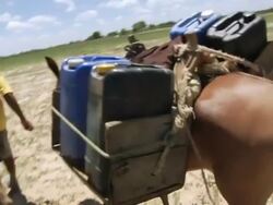 MS POV Shot of Man transporting water collecting from shaft / Pilao Arcado, Bahia, Brazil Stock Footage