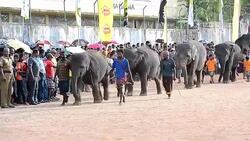 VOICED : Sri Lanka ano nuevo animal News Clip