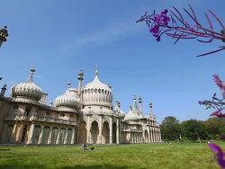 Brighton Dome Stock Footage