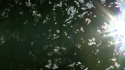 HD: sun and wind Stock Footage