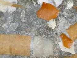 DUSTBIN : (LOOP) Stock Footage