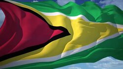 Guyana Flag Stock Footage