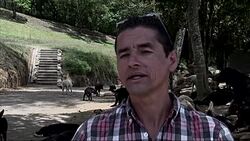 Dogs roam free in Costa Rica sanctuary News Clip