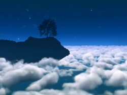 Tree On High Cliff Stock Footage