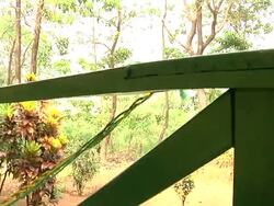 Stigma of being an Ebola orphan is making it hard for children to find a new home News Clip