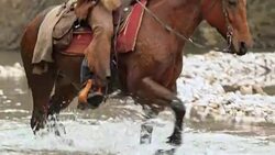 DS TD Three ranchers riding horses across river Stock Footage