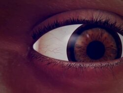 have a look Stock Footage